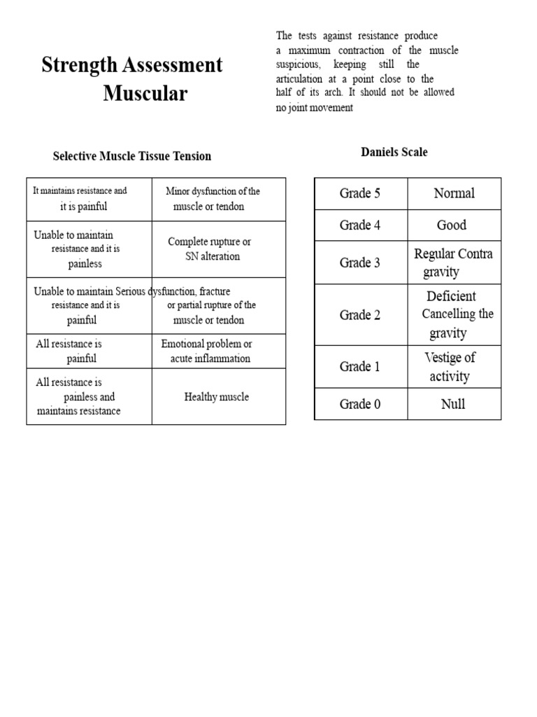 Muscle Strength | PDF | Anatomical Terms Of Motion | Foot