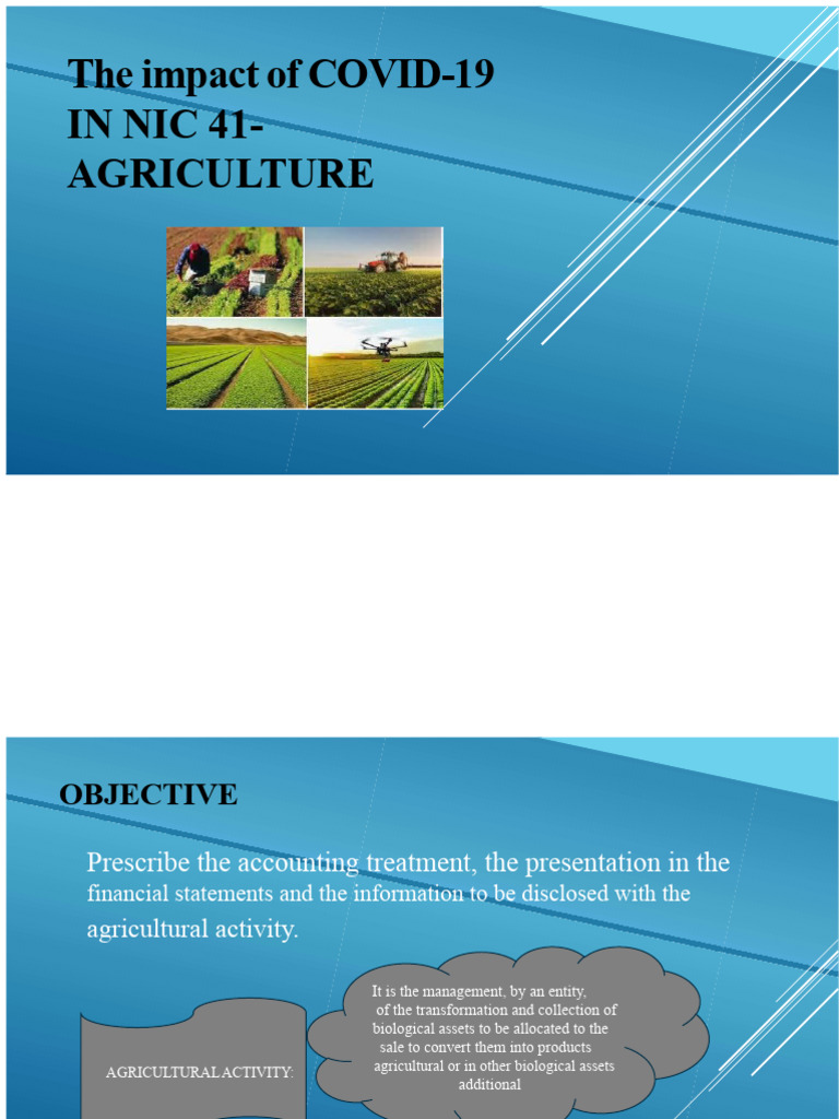 NIC 41 Slides | PDF | Fair Value | Agriculture