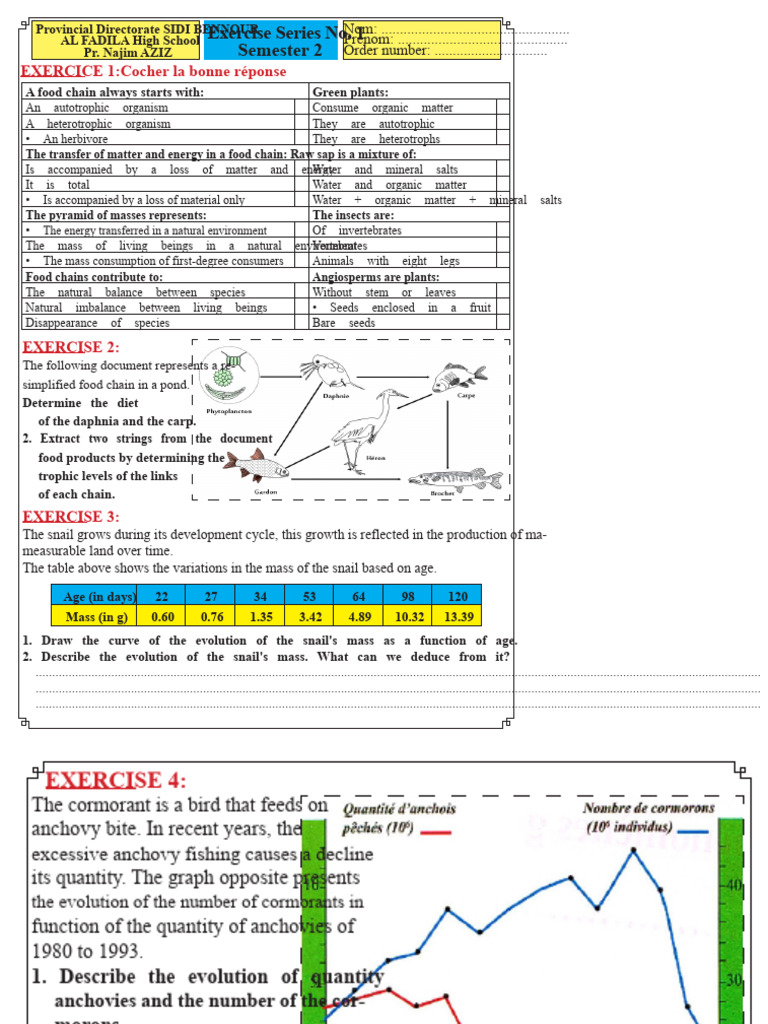 Food Chain and Growth Exercises | PDF | Food Web | Foods