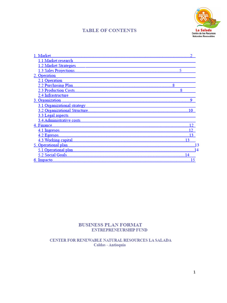 Comprehensive Business Plan Guide | PDF | Product (Business) | Marketing