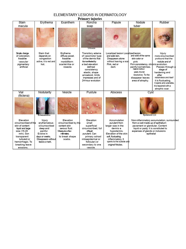 Understanding Primary and Secondary Skin Injuries | PDF | Skin | Scar