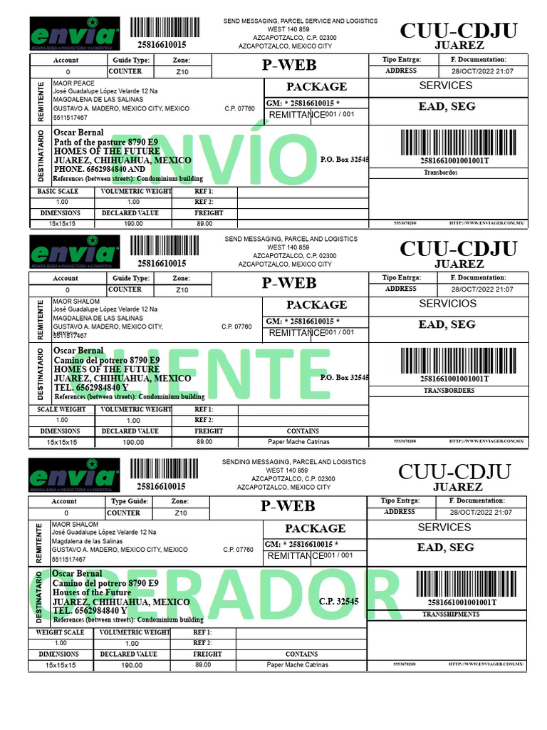 Mexico City Parcel and Logistics Services | PDF | Freight Transport