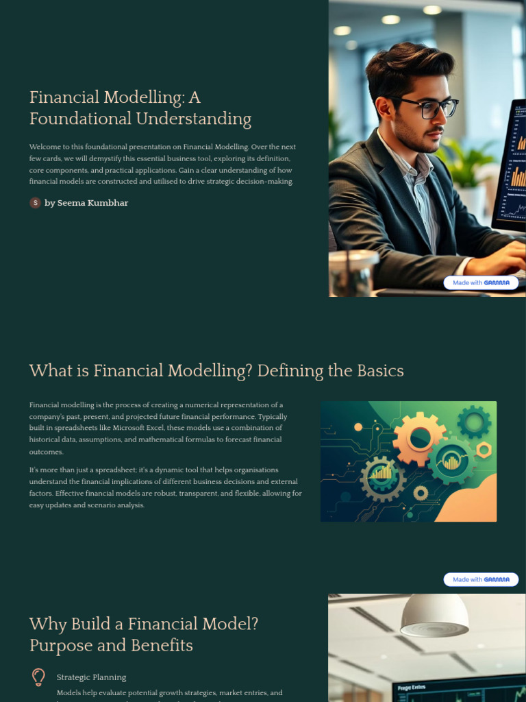 Financial Modelling Basics Explained | PDF | Financial Modeling | Expense