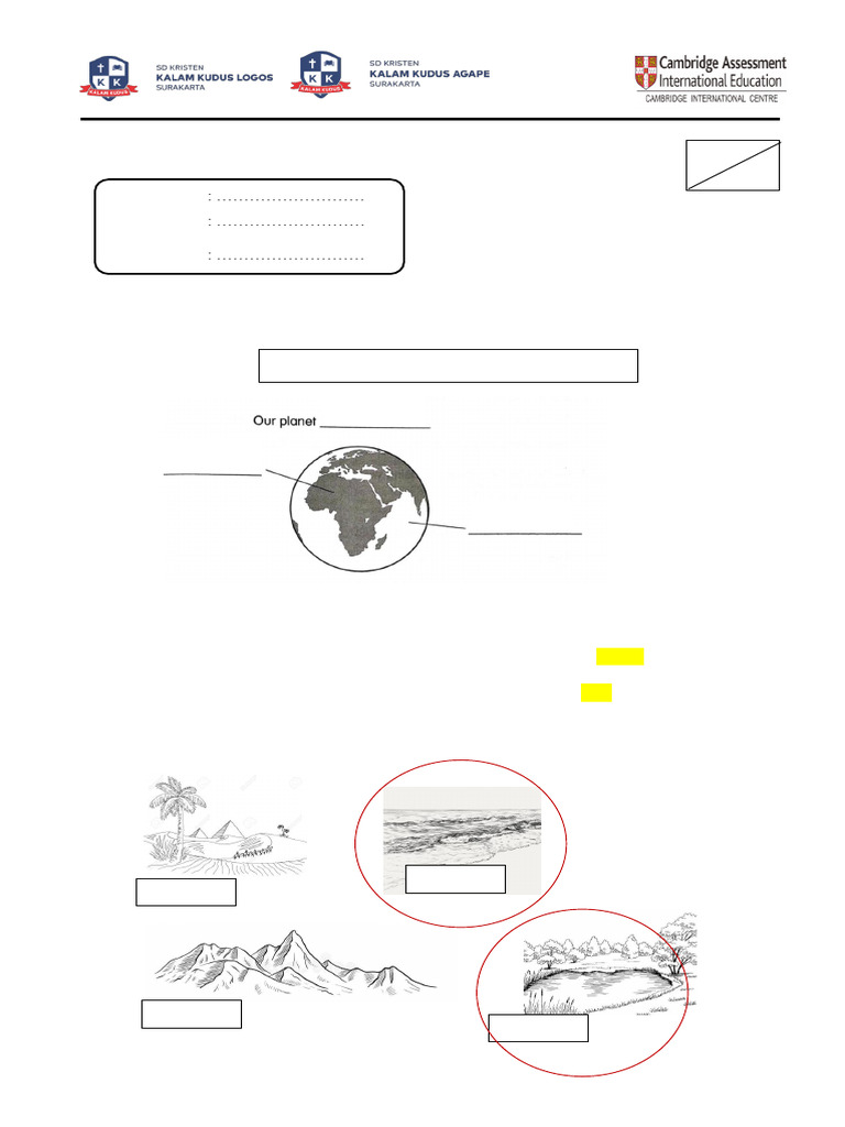 Science Exercise Topic 6 | PDF
