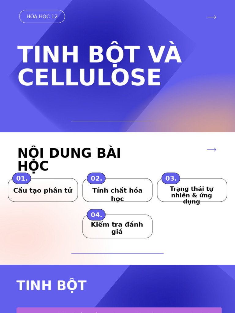 Tinh B T Và Cellulose | PDF