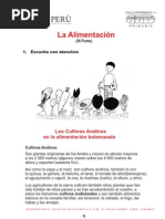 ALIMENTACION ANDINOS