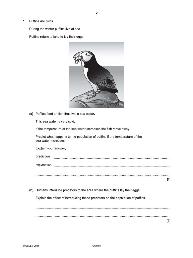 Grade 82 | PDF