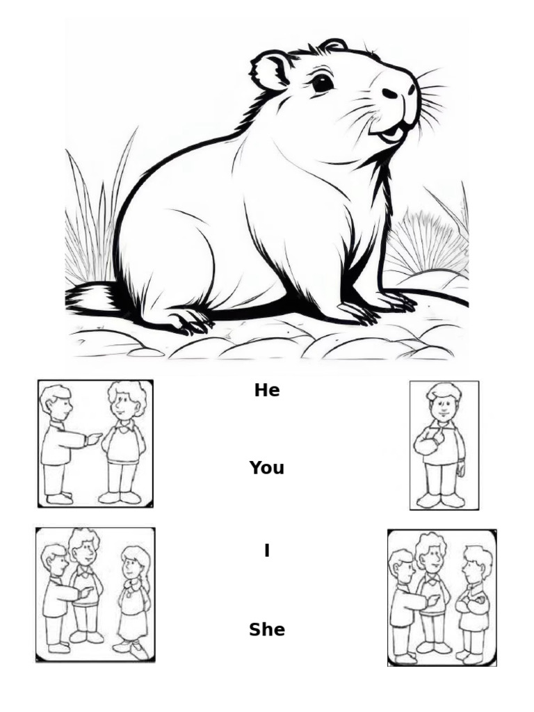 Capi Practice | PDF