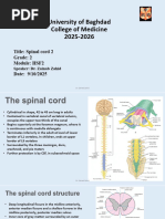 Anatomy and Function of DCML Pathway | PDF | Neuroscience | Nervous System
