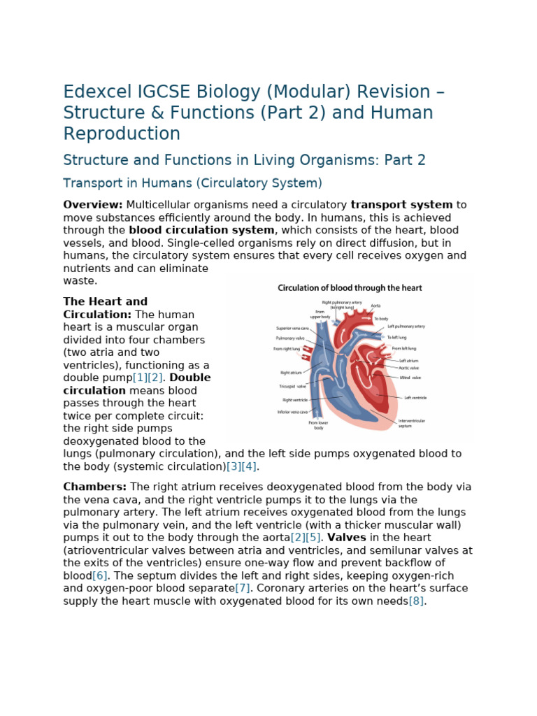 Edexcel IGCSE Biology (Modular) Revision - Structure & Functions (Part ...