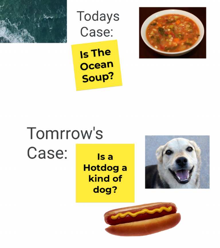 Cases | PDF