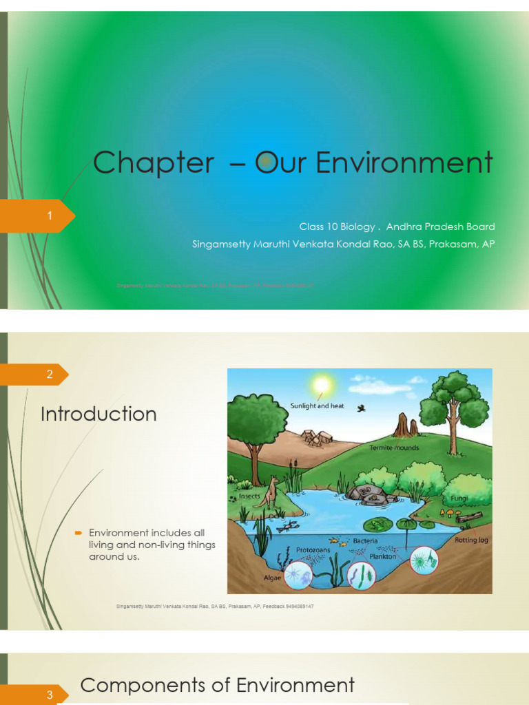 Understanding Ecosystems and Environment | PDF | Food Web | Ecosystem