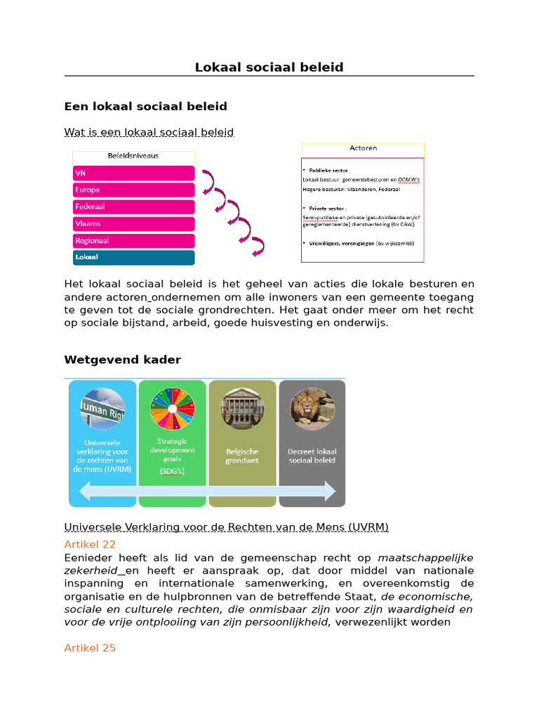 Lokaal Sociaal Beleid | PDF