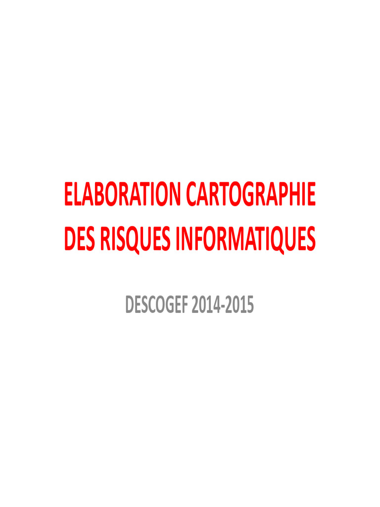 Cartographie des Risques Informatiques | PDF | Risque | Audit