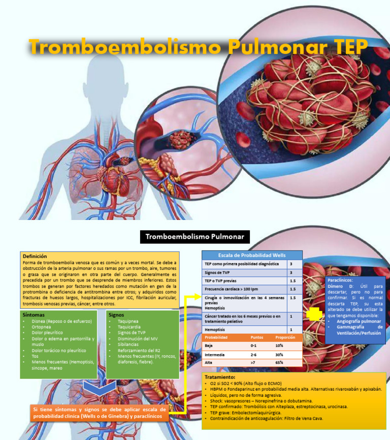 Algoritmo TEP | PDF | Trombo | Enfermedades y trastornos