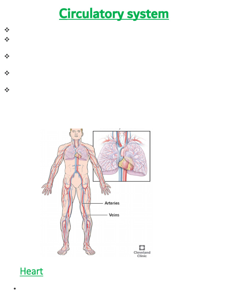 Notes - 14251 - BPED102 (UNIT-2) | PDF | Circulatory System | Heart