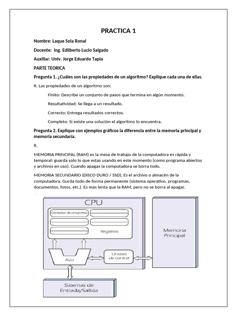 Propiedades de Algoritmos y Ejercicios Prácticos | PDF | Programa de ...