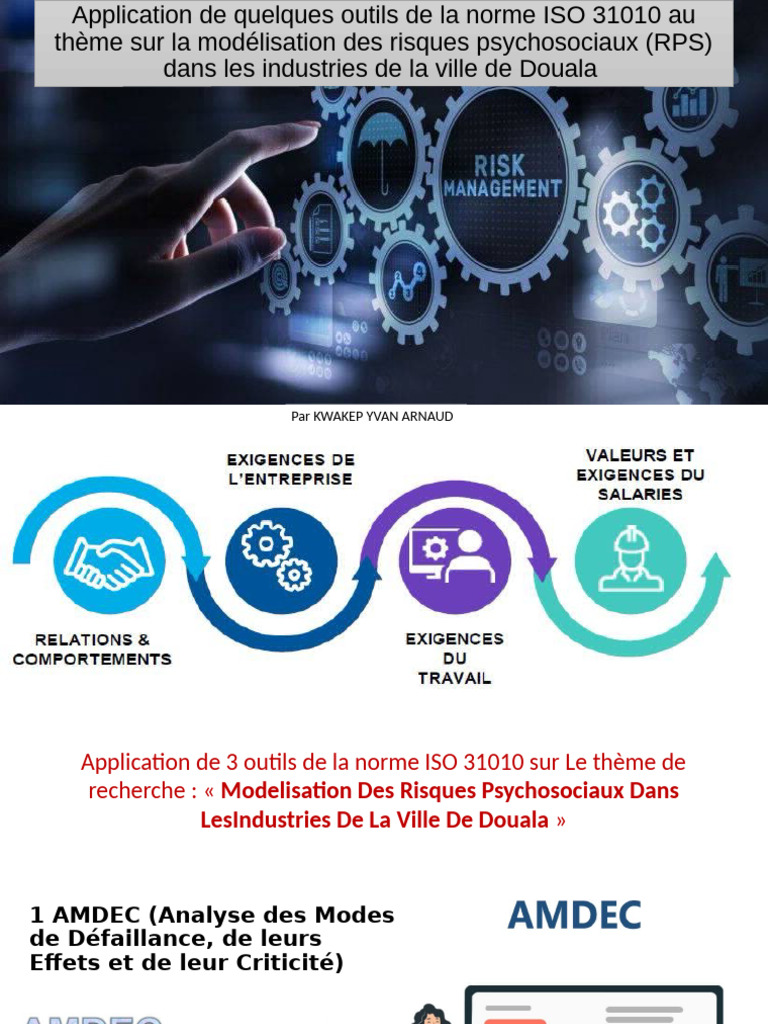 Modélisation des RPS à Douala avec ISO 31010 | PDF | Syndrome d ...