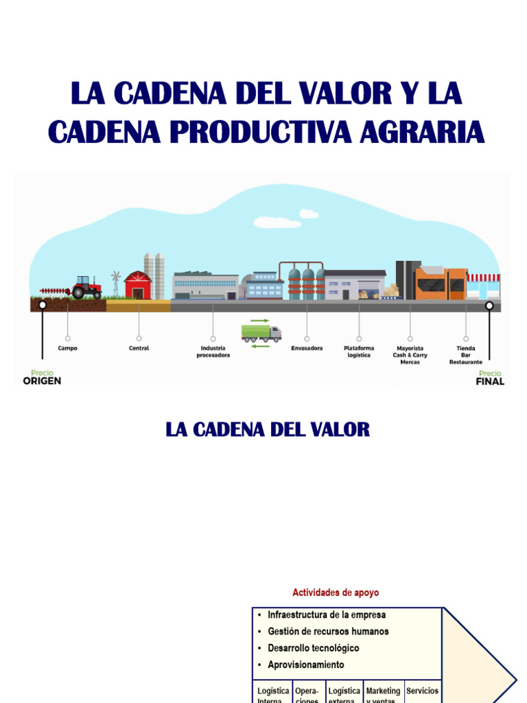Enfoque de Cadena Del Valor y Productiva 2025 | PDF | Logística | Business