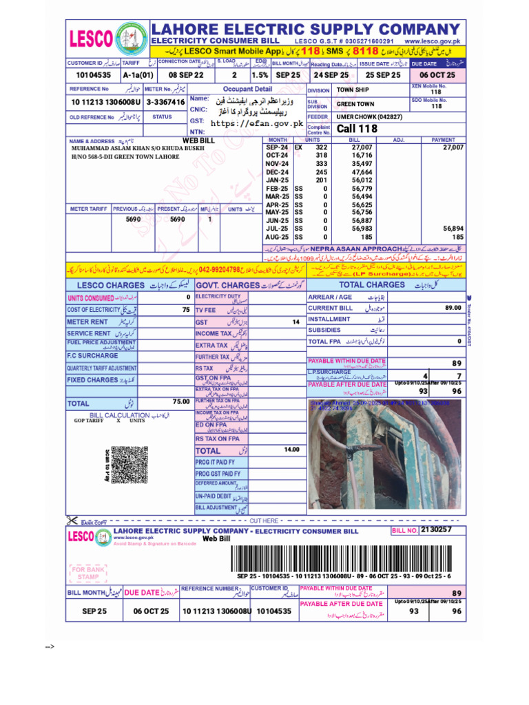 Web Bill Summary for Muhammad Aslam Khan | PDF