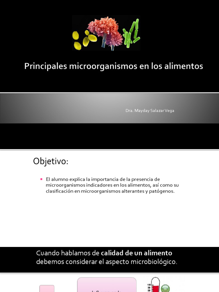 Microorganismos en Alimentos: Tipos y Riesgos | PDF | Bacterias Gram ...