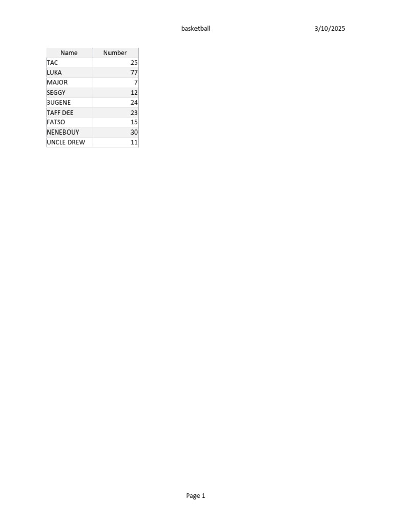 Basketball Player Roster 2025 | PDF