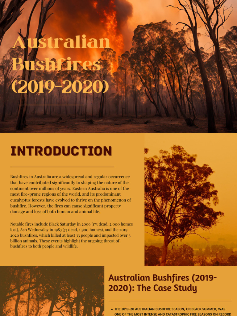 Australian Bushfires 2019 2020 Pdf Wildfire Earth Sciences