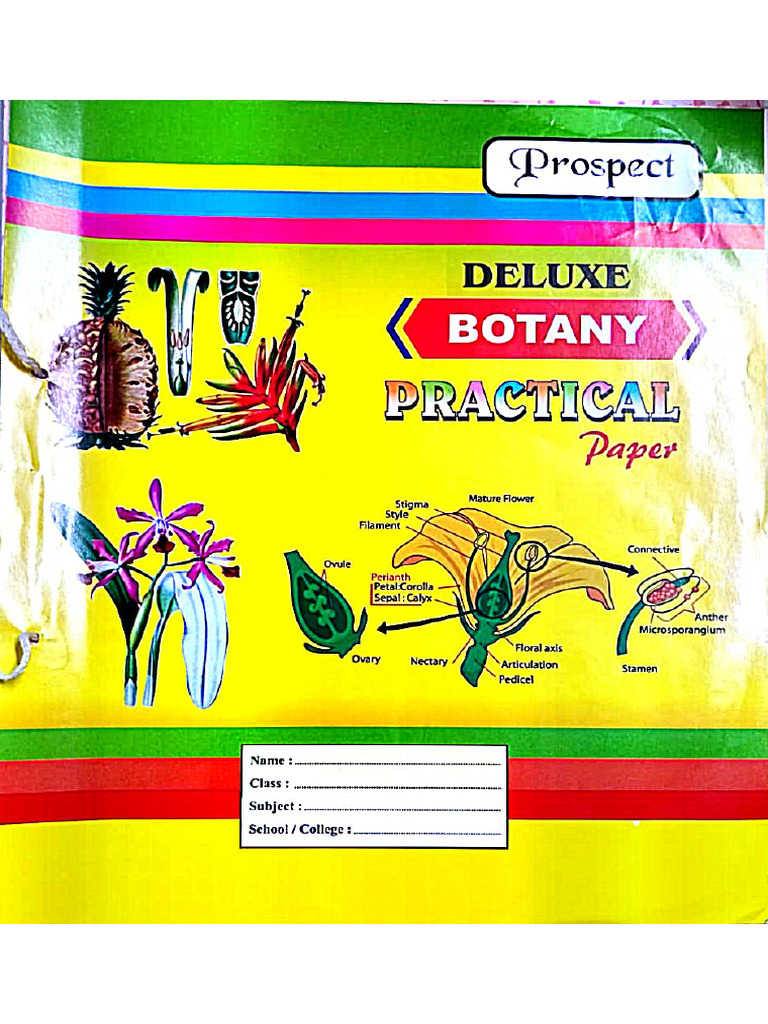 Botany (DSC) Practical | PDF