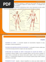 03 Sistema Muscular