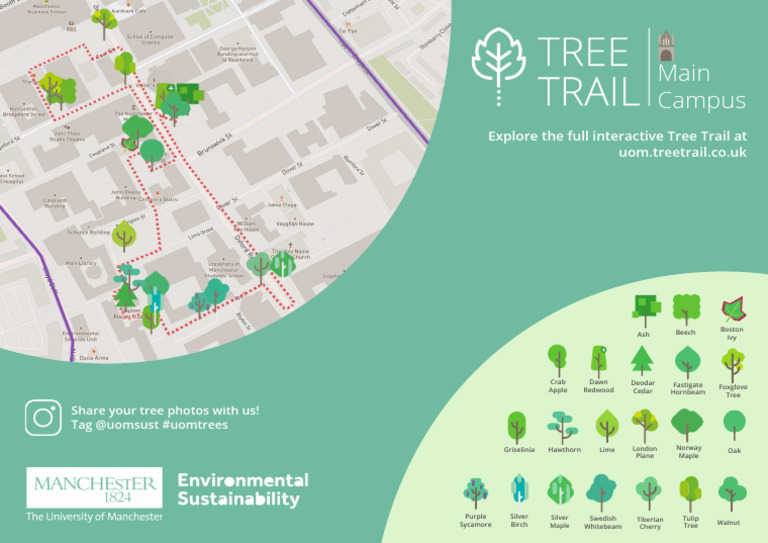 Interactive Tree Trail Guide | PDF