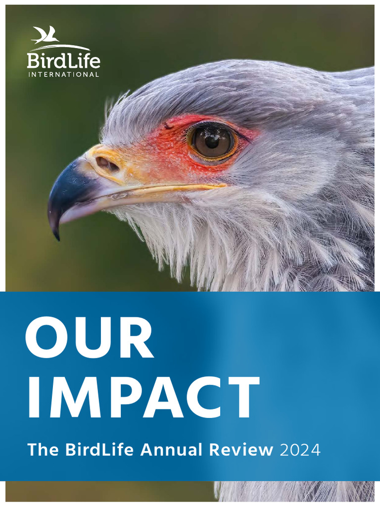 BirdLife International Annual Review 2024 | PDF | Conservation Biology ...