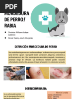 Esquema Essen de Vacunación Antirrábica | PDF | Rabia | Ciencias de la ...