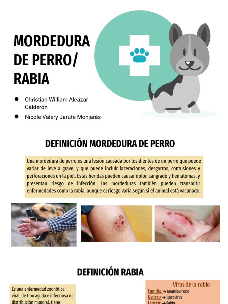 Mordedura de Perro - Rabia Canina | PDF | Rabia | Medicina