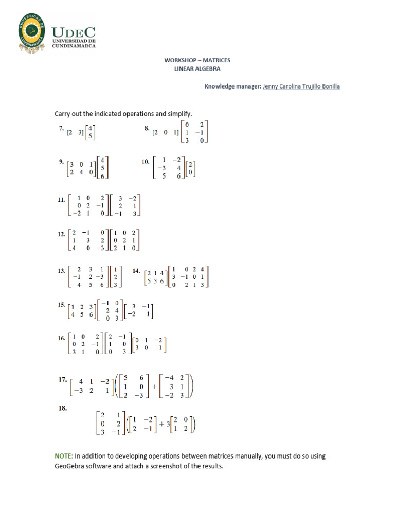 Workshop N°3 - Matrices | PDF