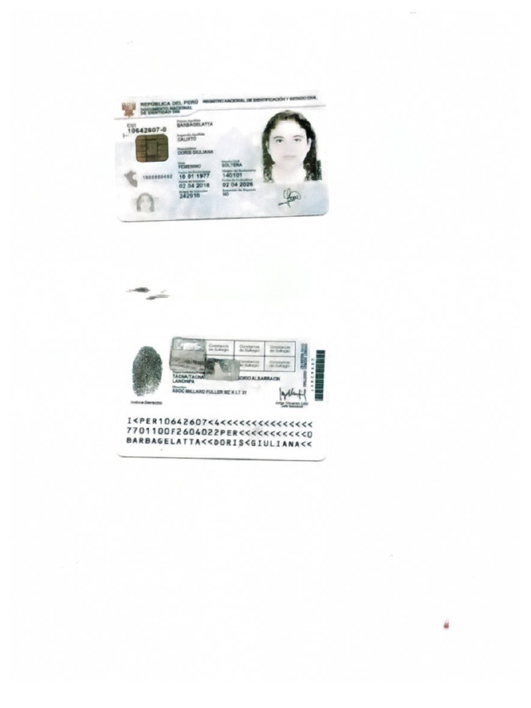 Peruvian - ID - Data 22 11 2025 06 56 | PDF