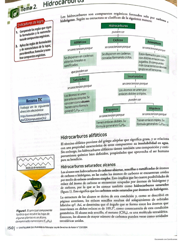 Tema N°4 y 5. Química Orgánica e Hidrocarburos | PDF