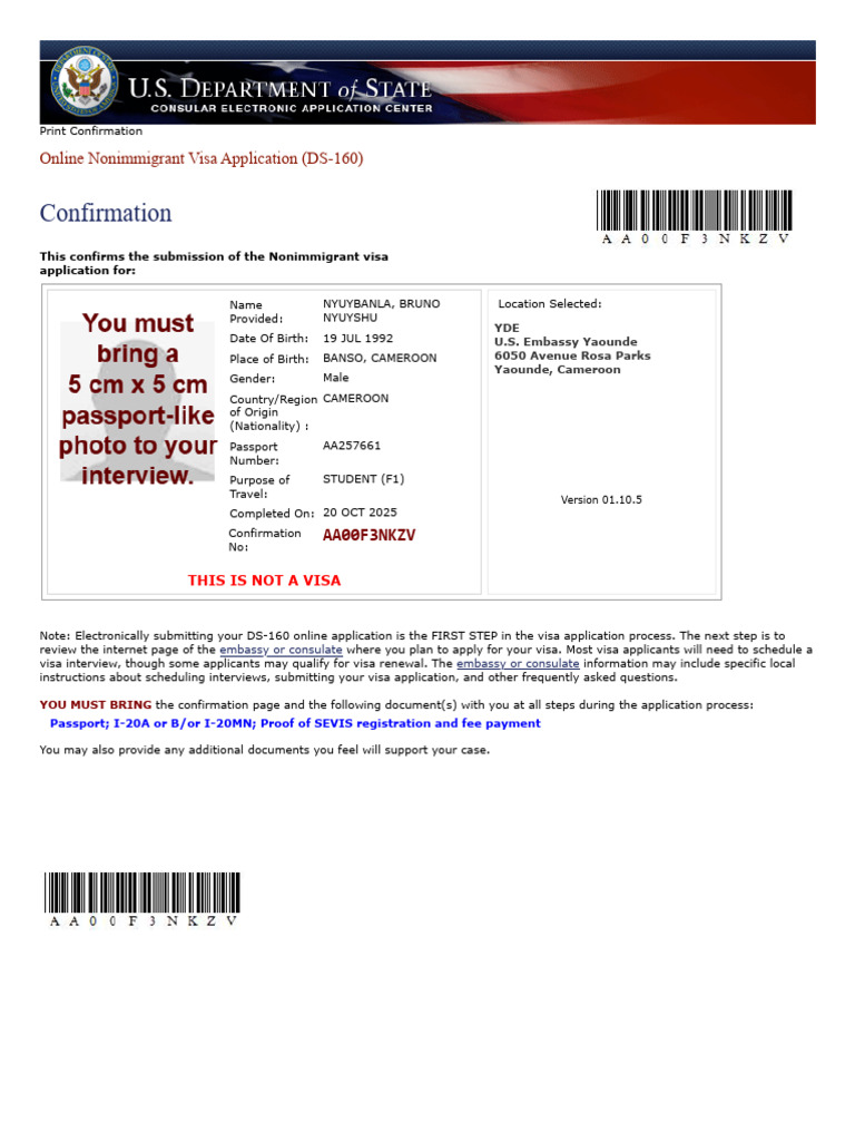 DS-160 Visa Application Confirmation | PDF