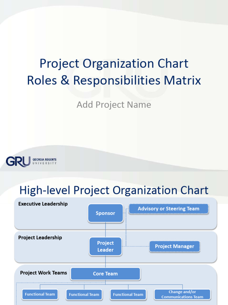 Project Organization Roles & Matrix | PDF