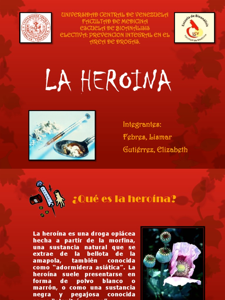La Heroina | PDF | Heroína | Morfina