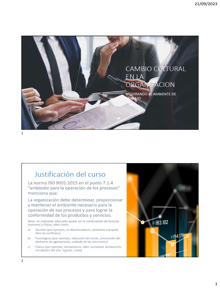 Cambio Cultural y Motivación en el Trabajo | PDF | Autoestima | Motivación