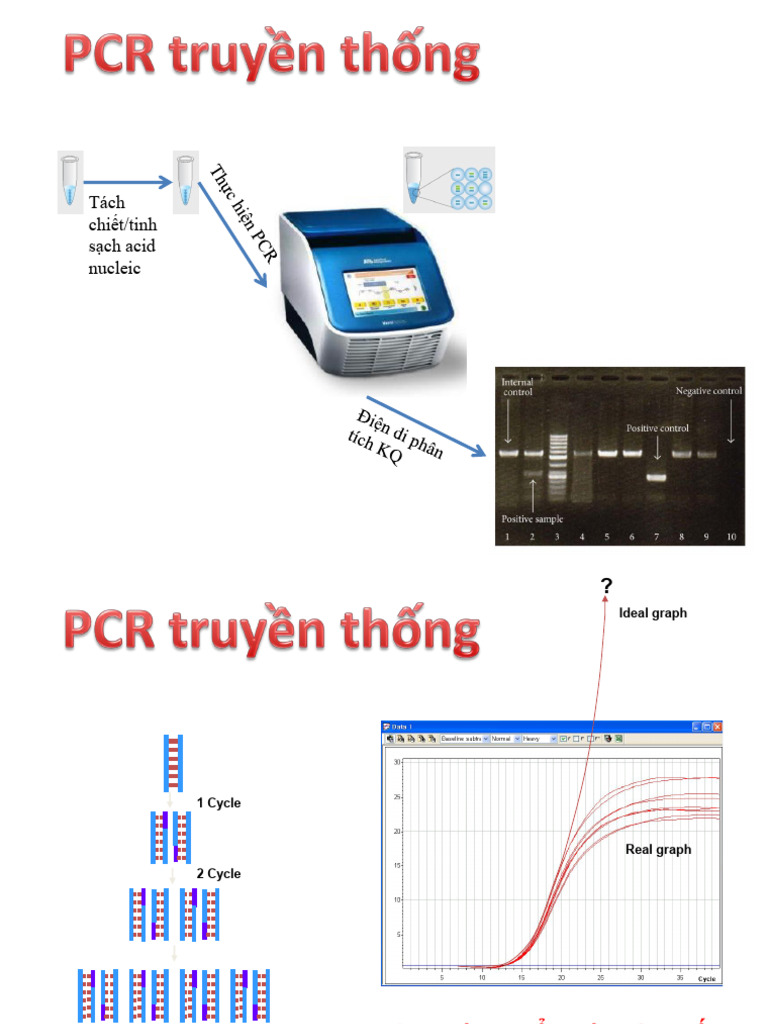 Kỹ thuật Real-time PCR | PDF