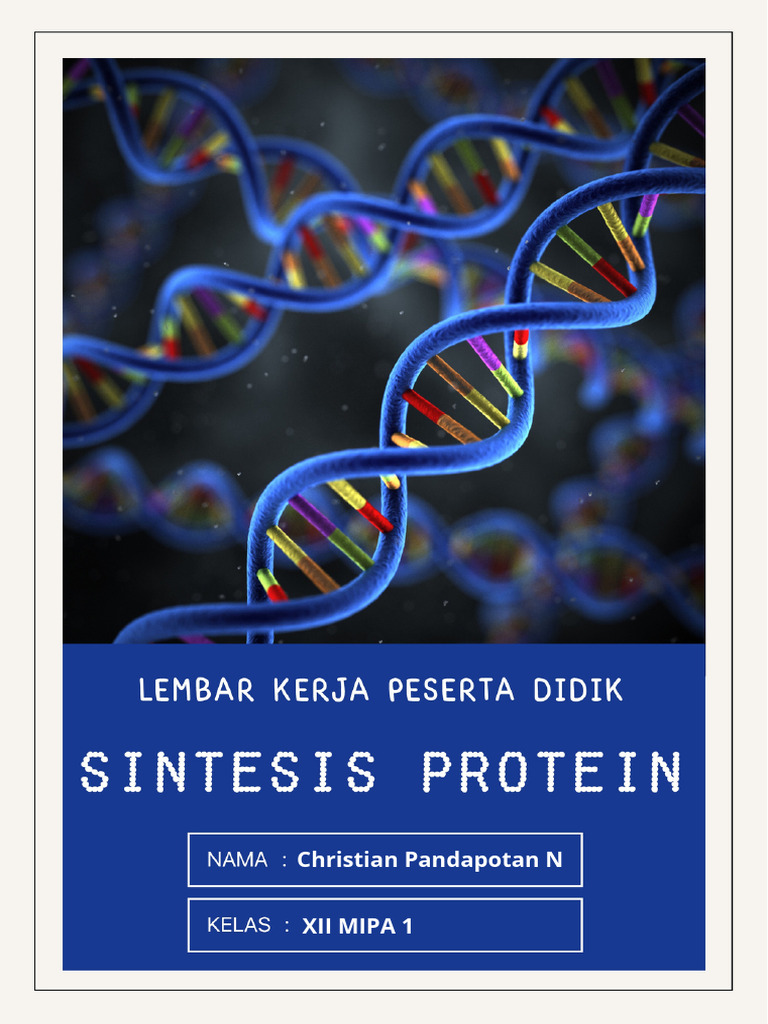 WORKSHEET SINTESIS PROTEIN KELAS XII - 20240830 - 103942 - 0000.pdf ...