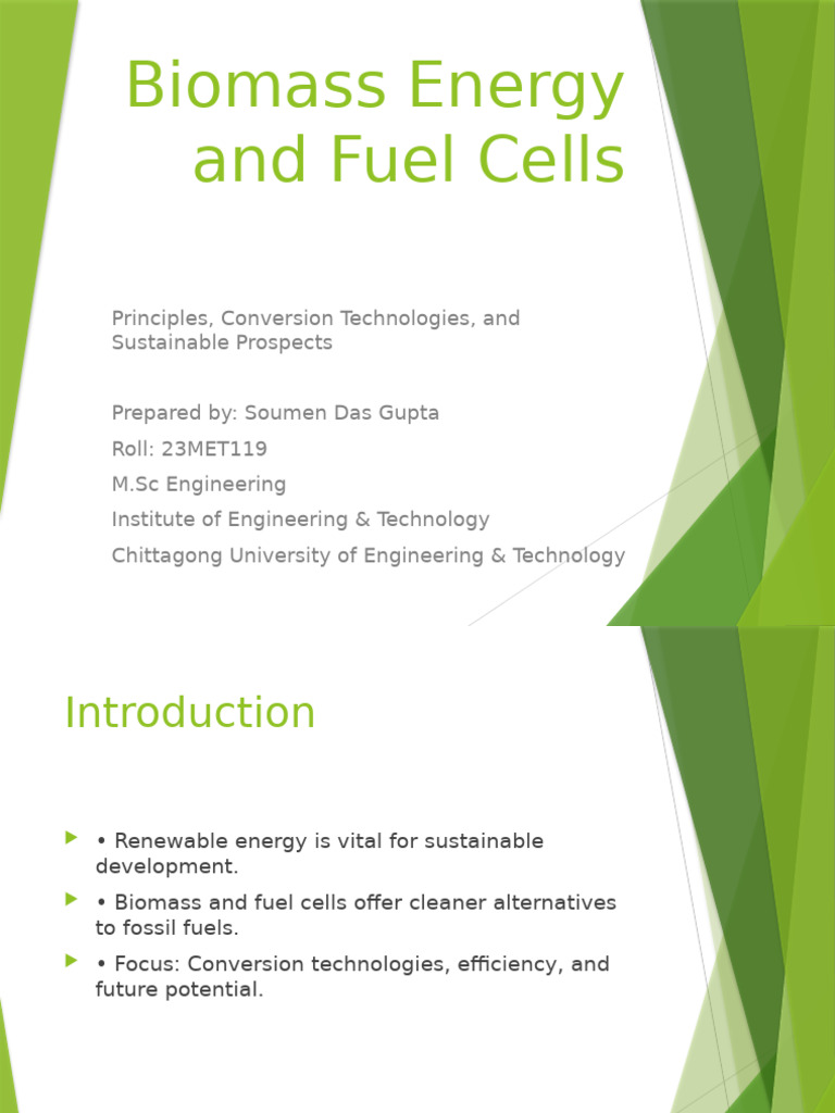 Biomass Fuel Cells Presentation Updated | PDF | Biofuel | Gasification