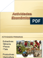 Actividades-Economicas