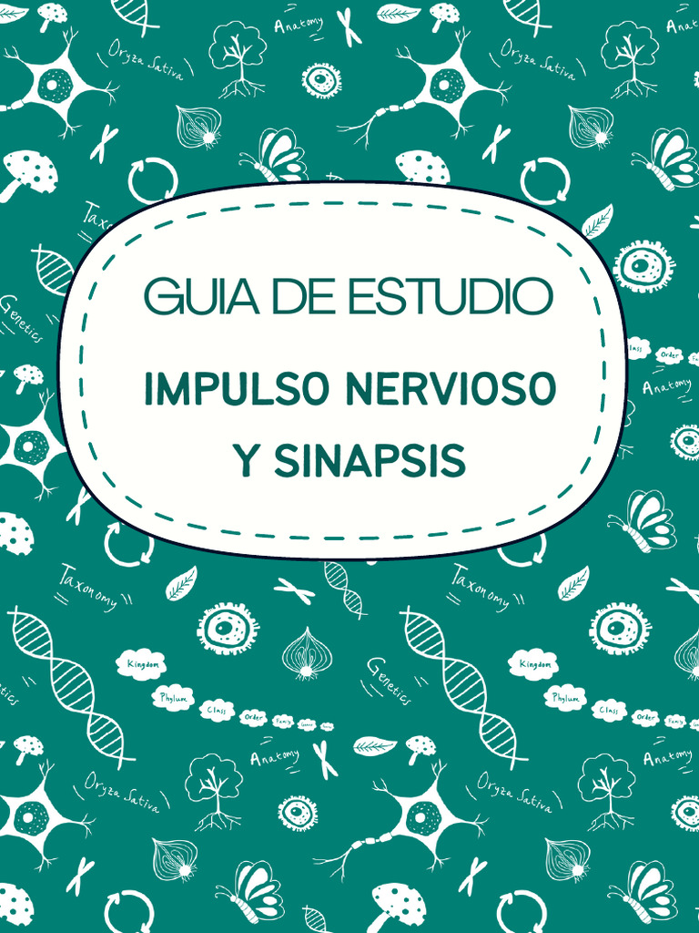 Impulso Nervioso y Sinapsis | PDF | Sinapsis | Potencial de acción
