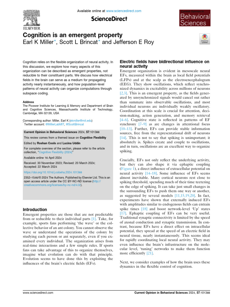Emergent Properties of Neural Cognition | PDF | Neural Oscillation ...