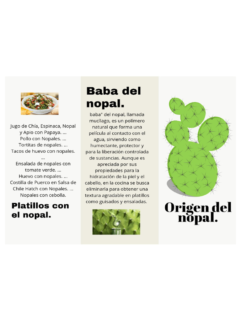 ImageToPDF 20251013 180946 | PDF