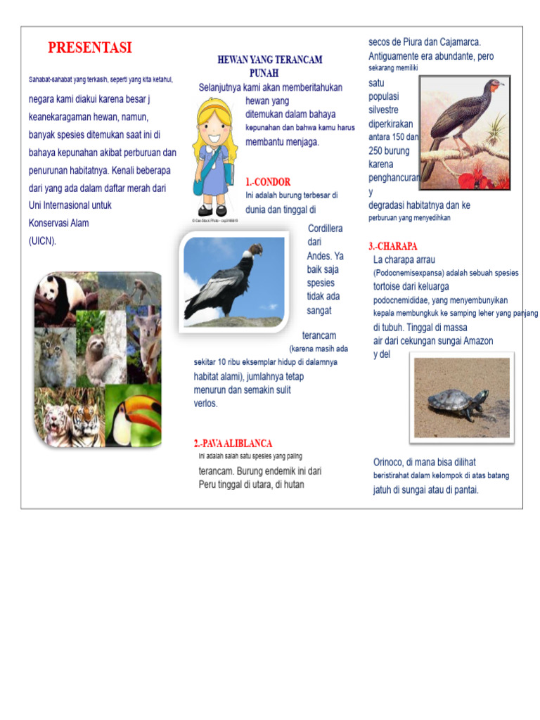 Hewan Terancam Punah di Peru | PDF