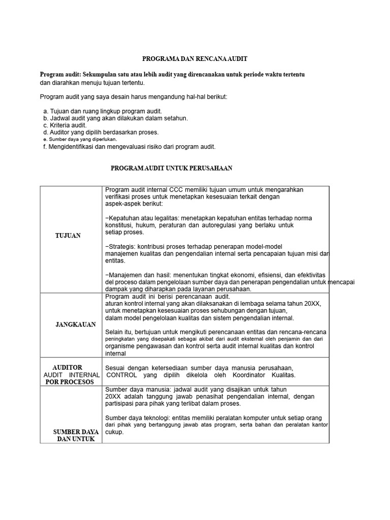 Rencana Program Audit Internal 2023 | PDF