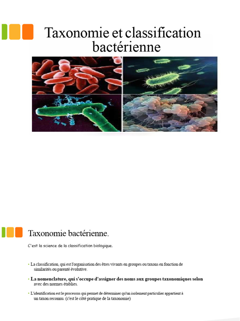 Taxonomie et classification bactérienne | PDF | Taxonomie (Biologie ...